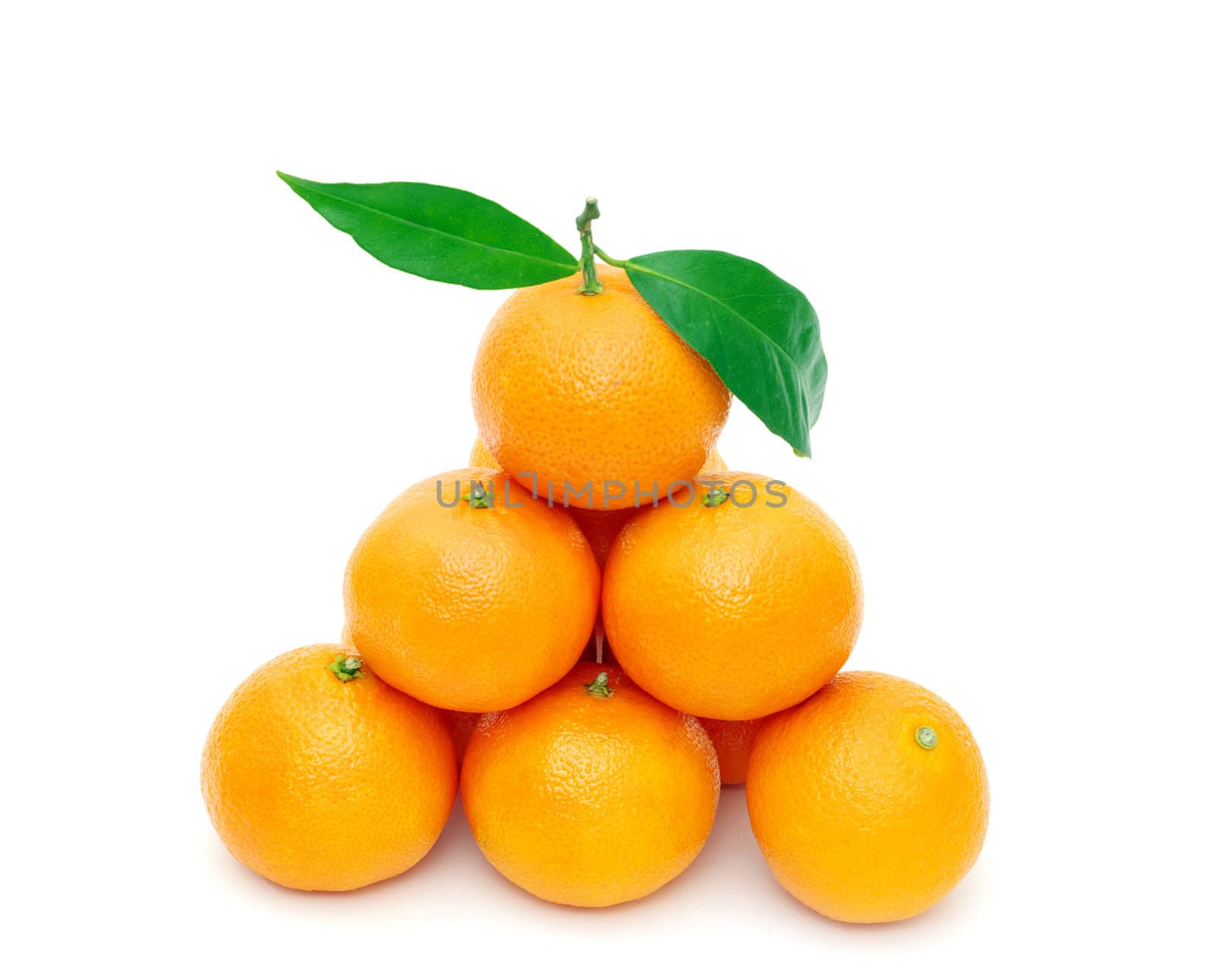  tangerine  by Pakhnyushchyy