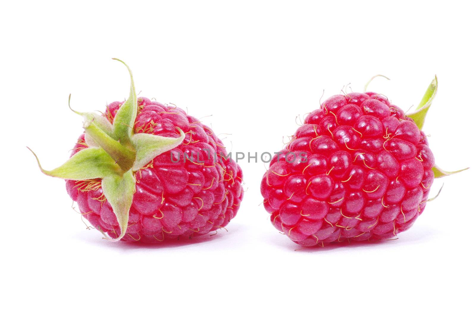 Ripe raspberry isolated on a white background