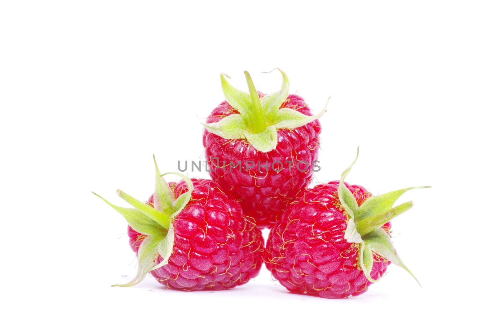 Ripe raspberry isolated on a white background