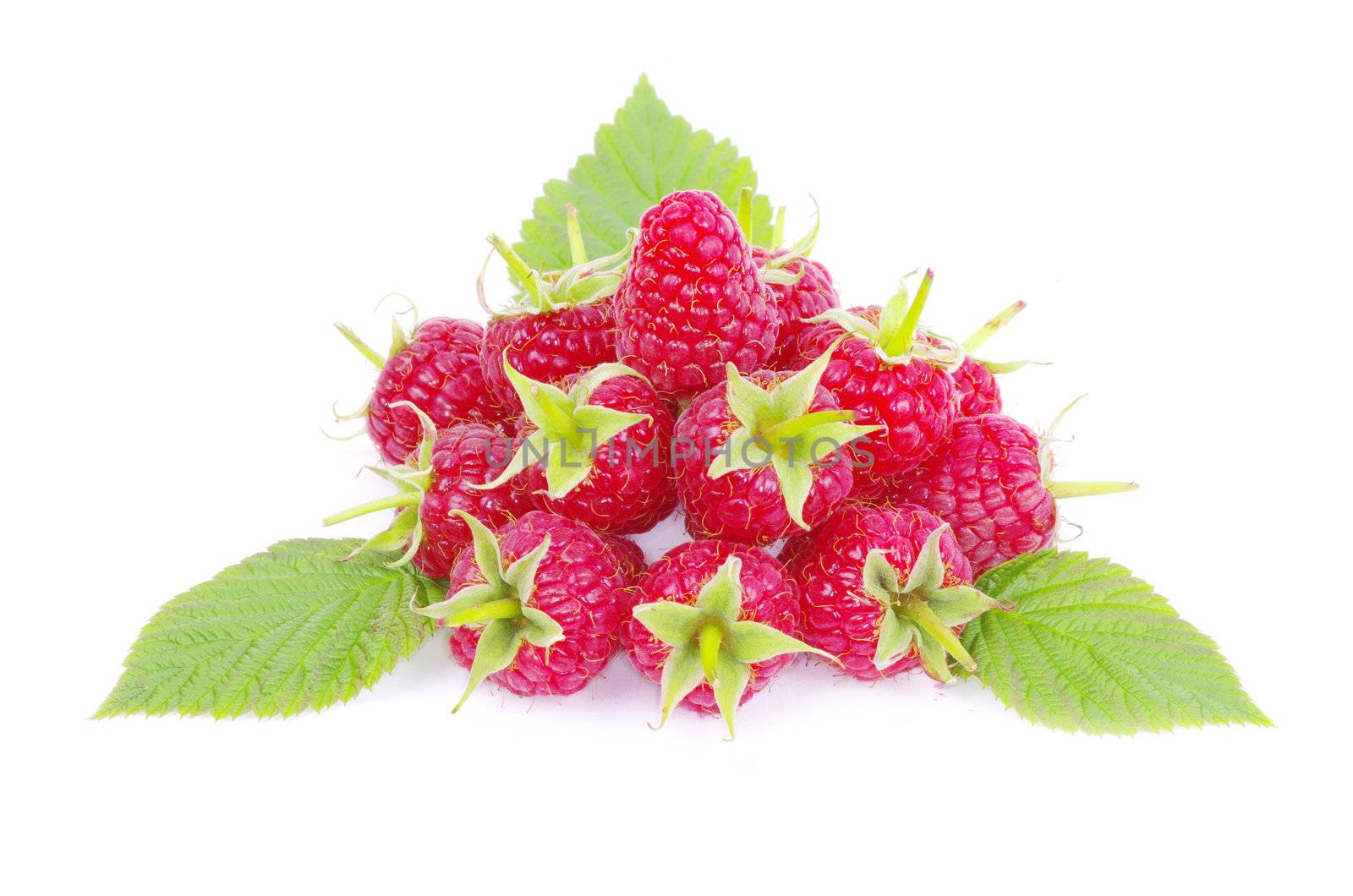 fresh raspberry closeup isolated on white background