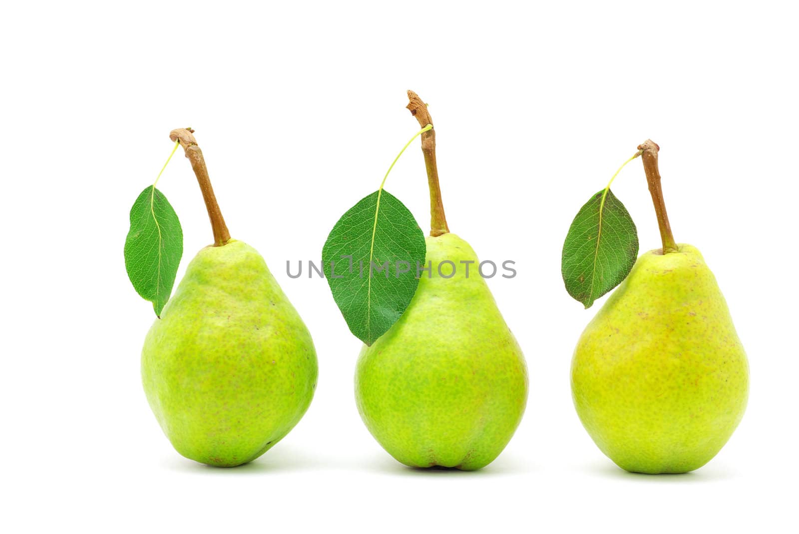 green pear  by Pakhnyushchyy