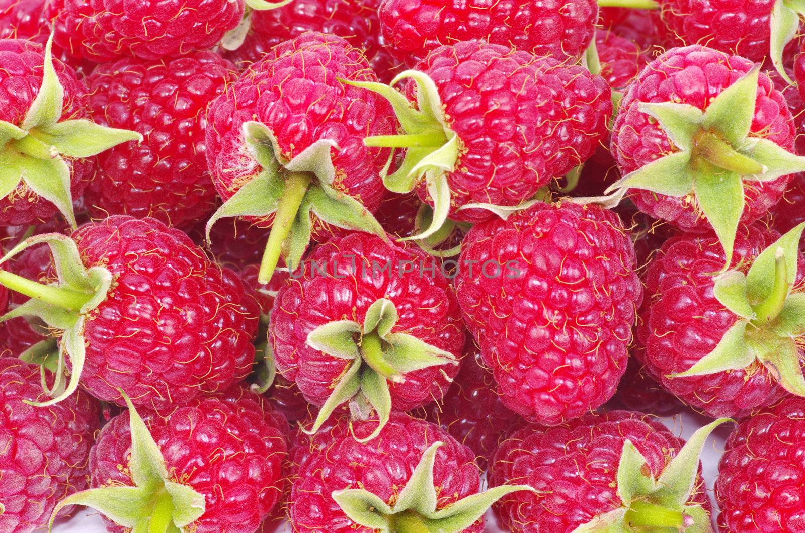 sweet fresh raspberry close up