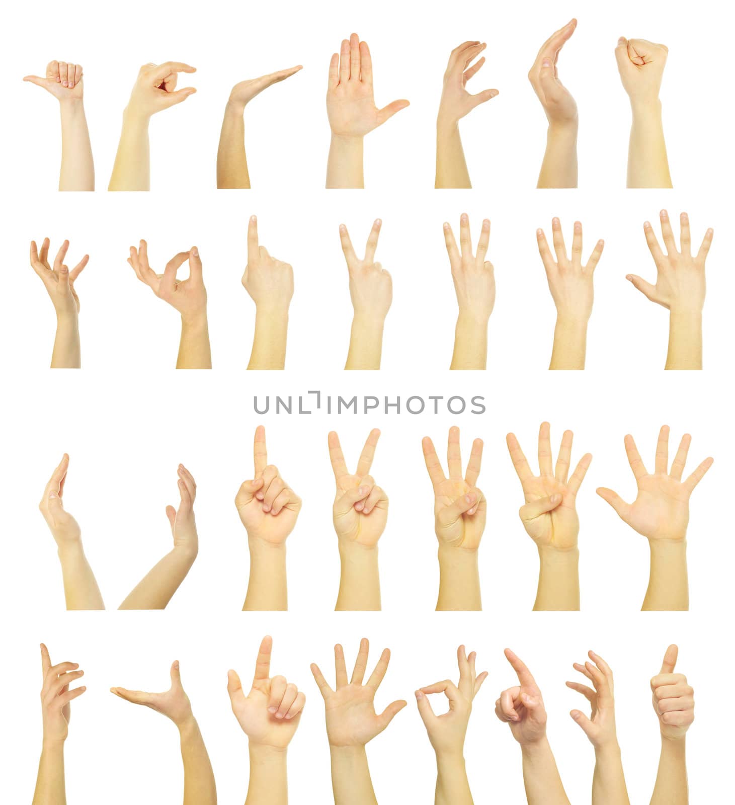 hands isolated on a white background