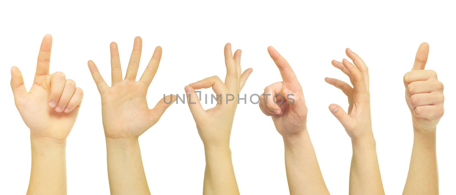 hands isolated on a white 