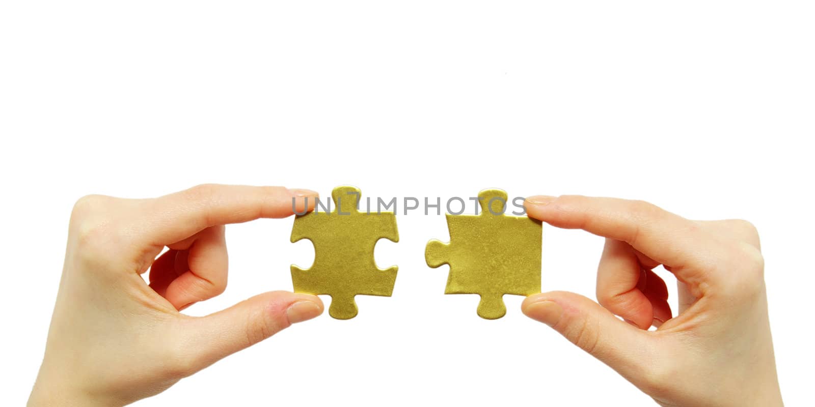 puzzle in hands isolated on white background