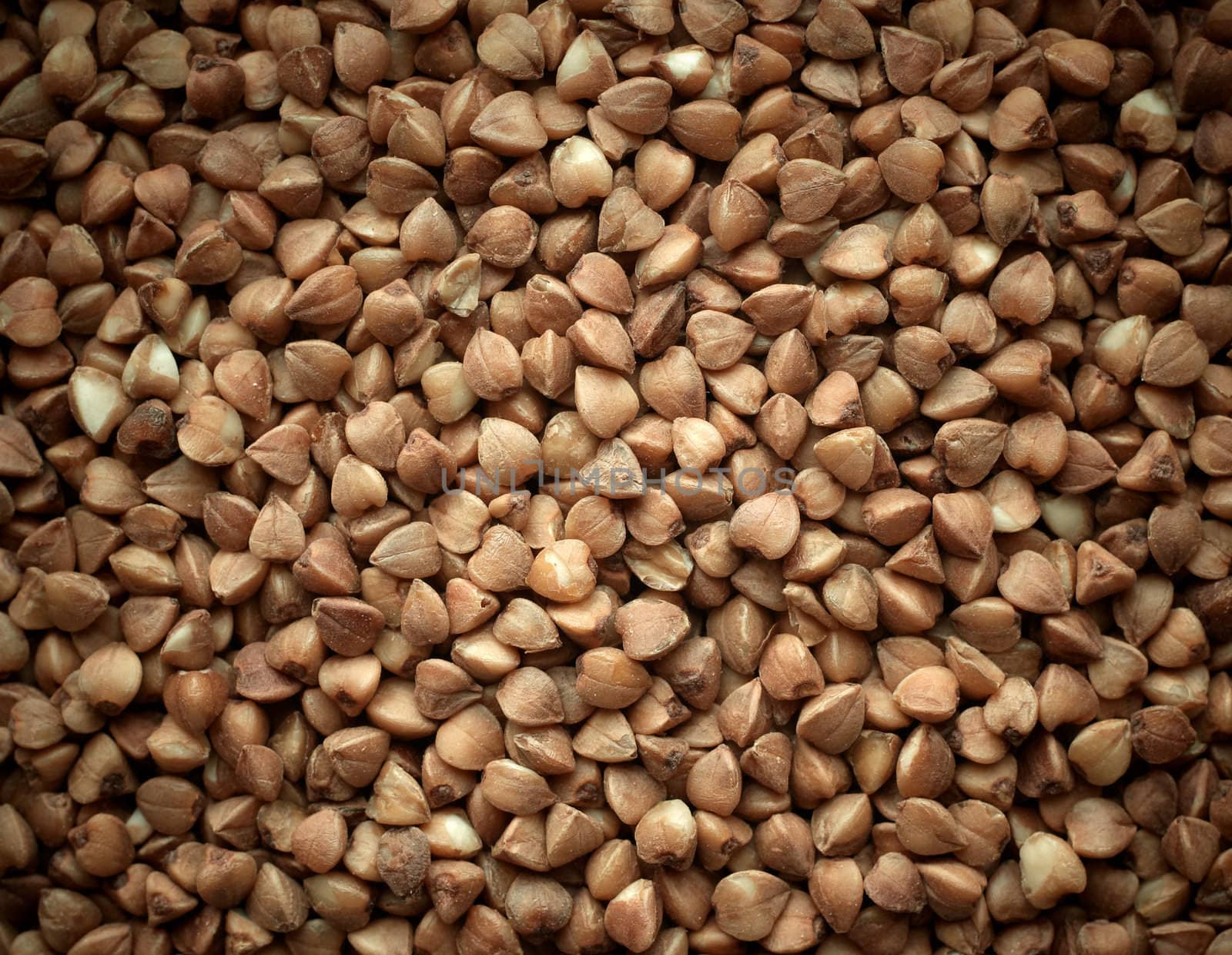 Buckwheat texture background closeup.