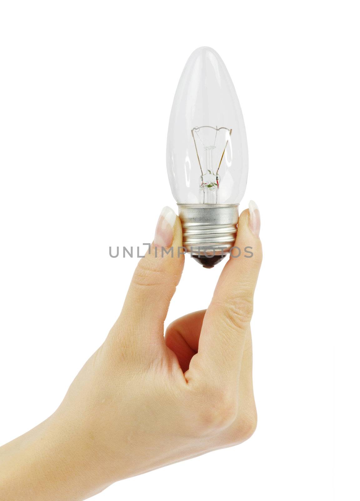  hand holding bulb isolated on white background