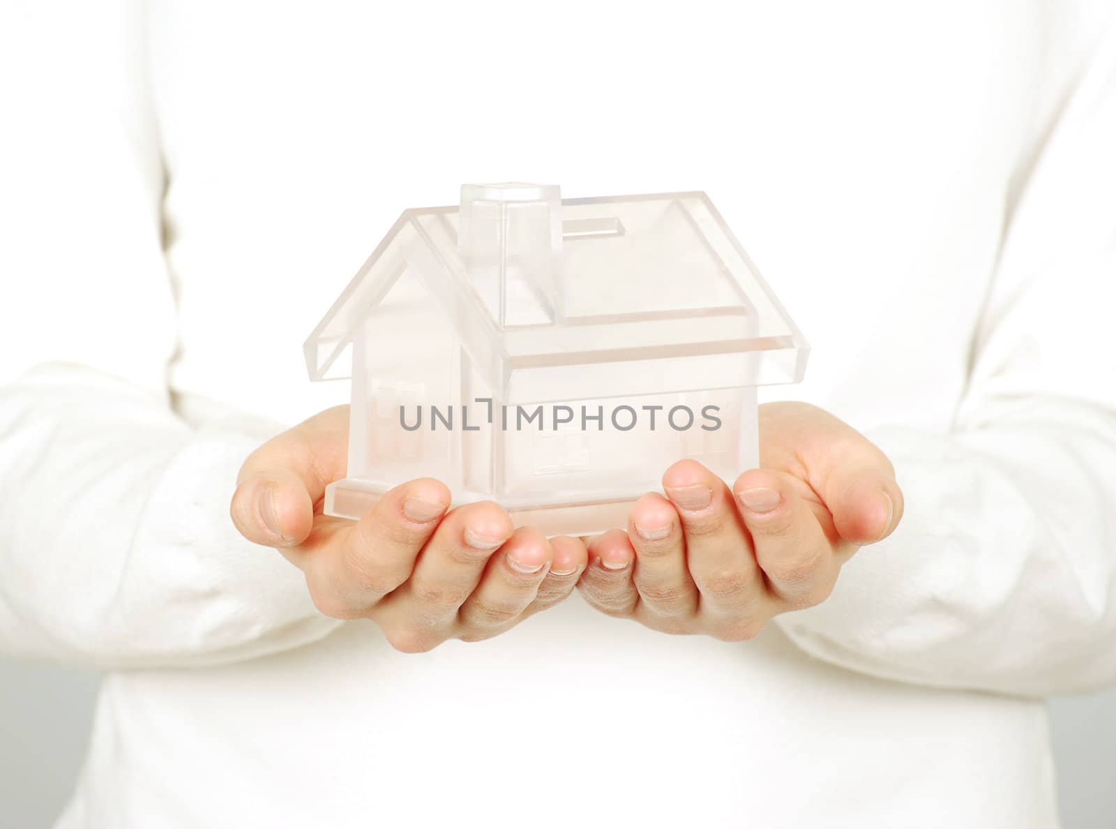 The house in human hands on white