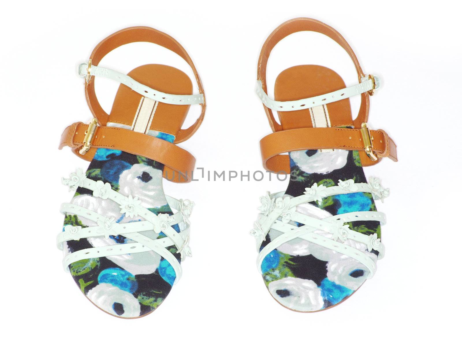 female sandals on a white background
