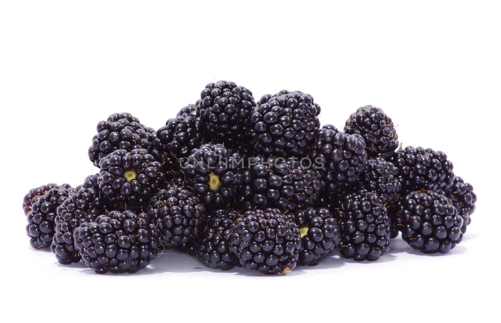 blackberry isolated on a white background