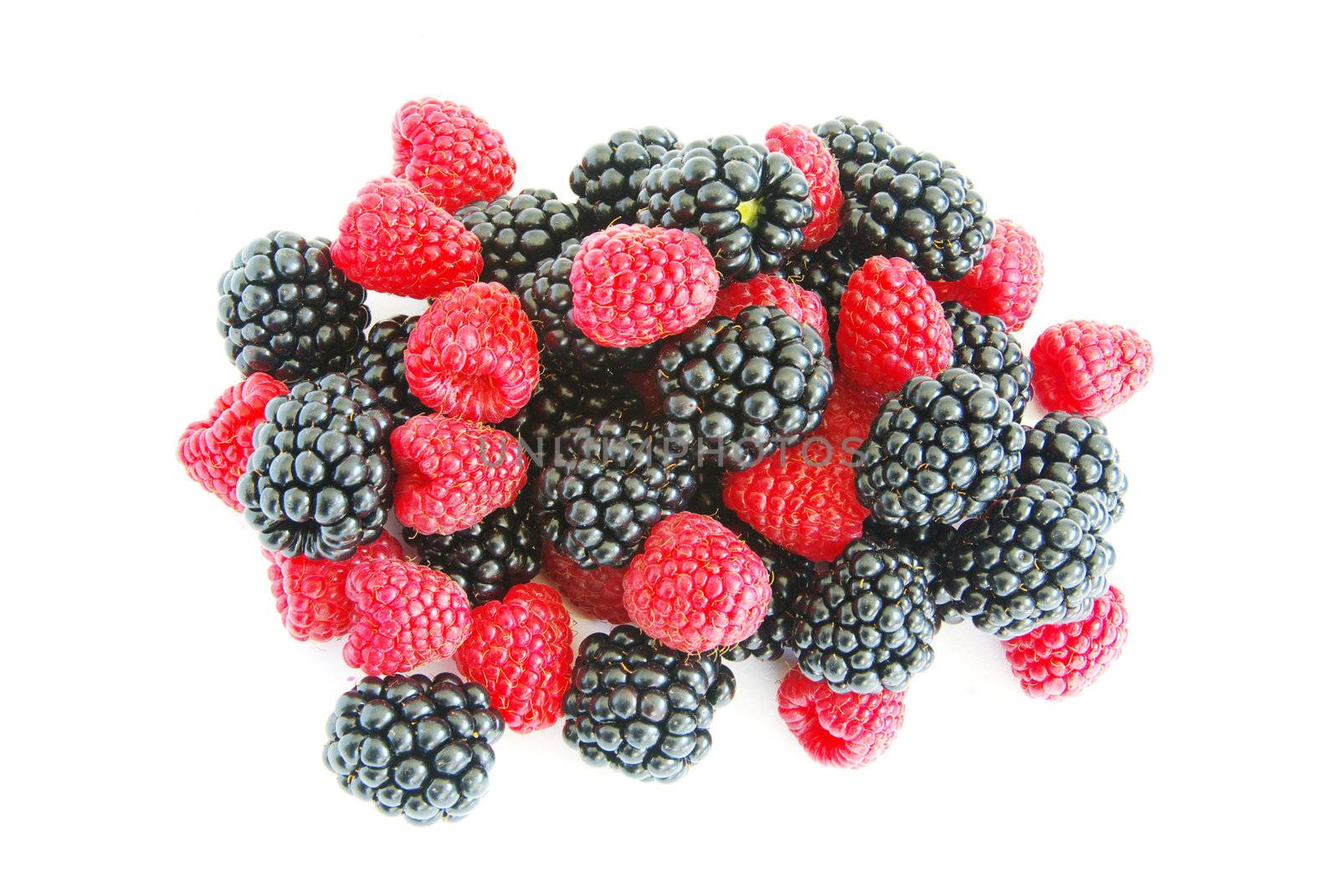 raspberry and blackberry by Pakhnyushchyy