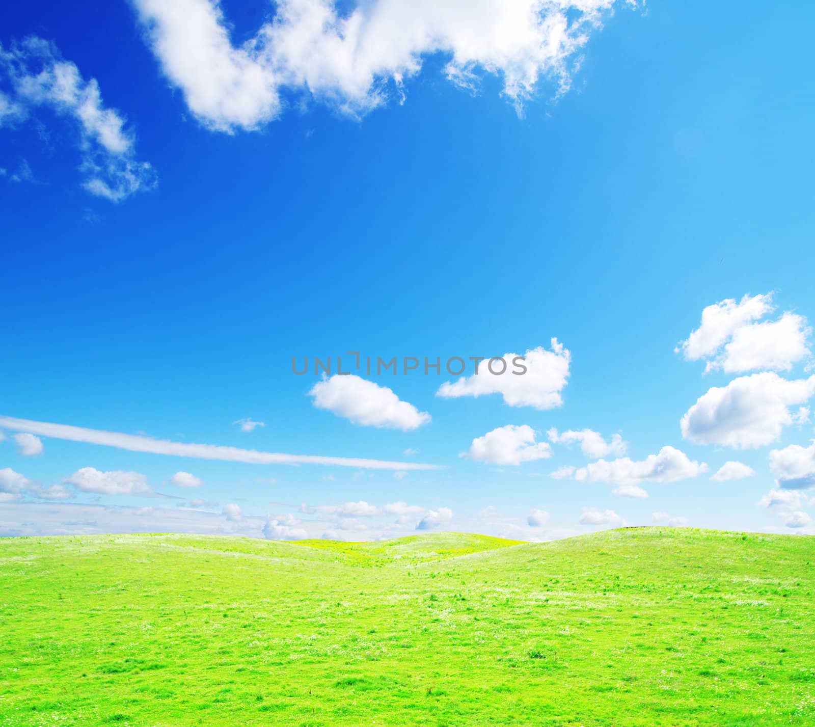 field on a background of the blue sky