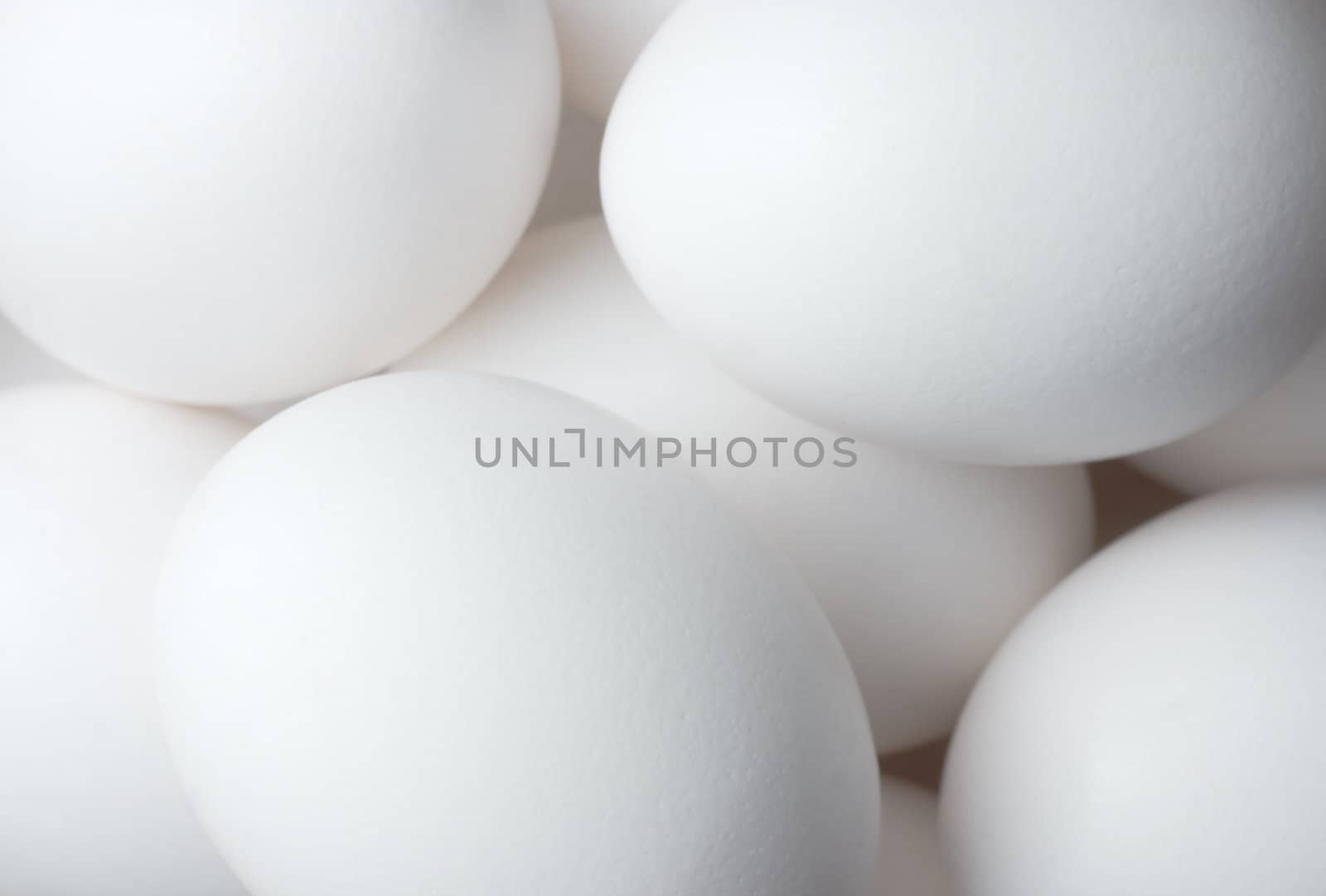 Eggs solid background by pashabo