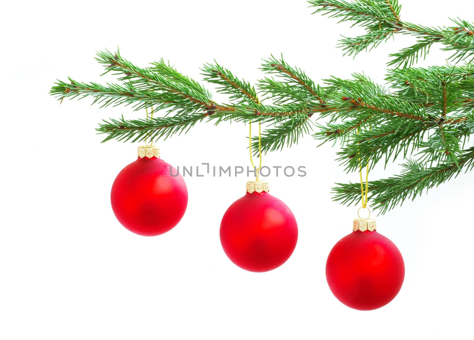 Christmas balls  by Pakhnyushchyy