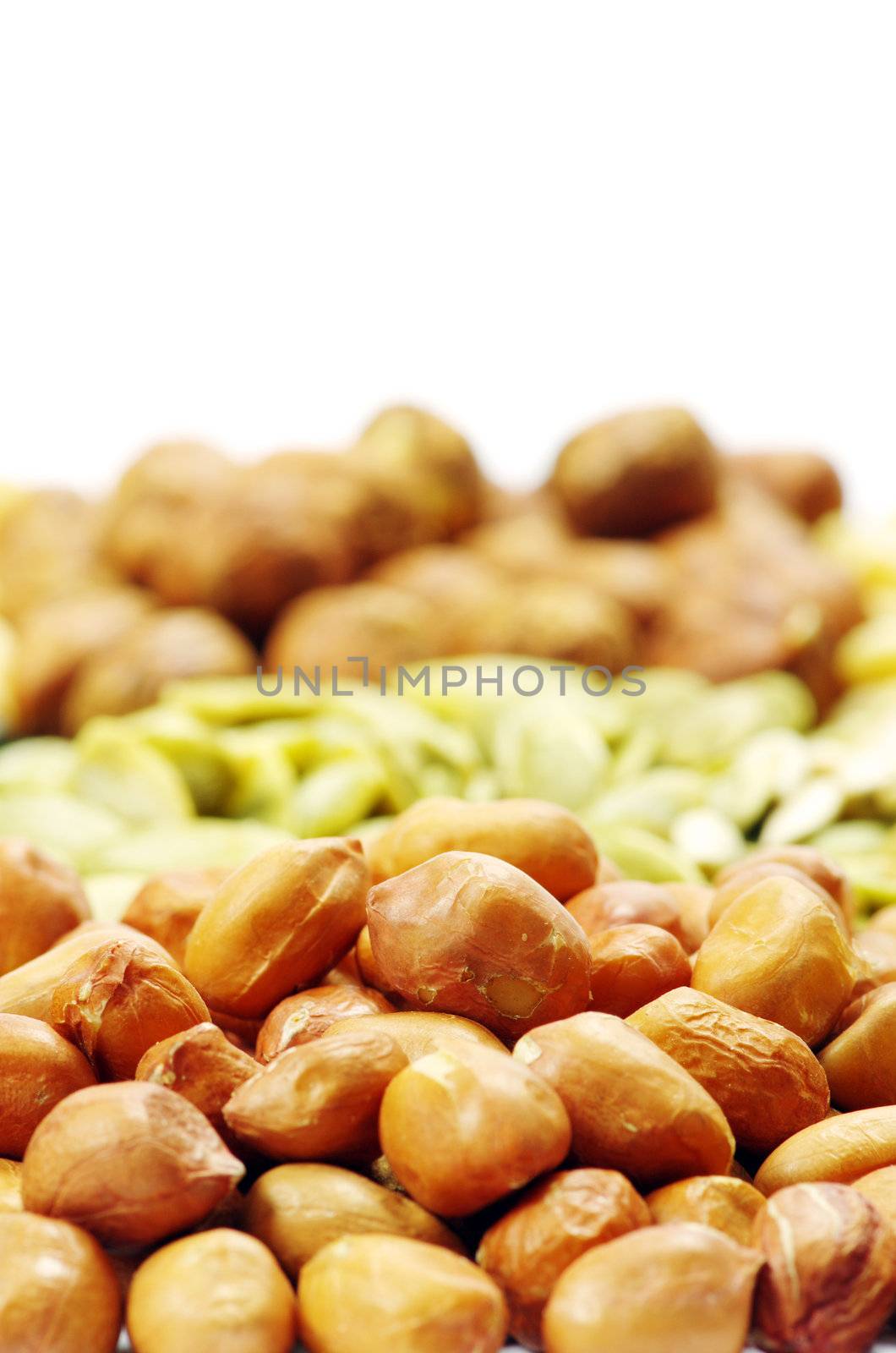 various nuts on a white background