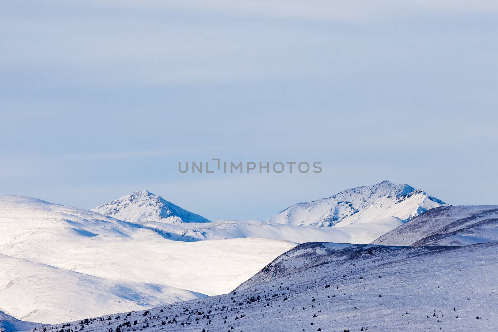 Alpine tundra in winter, Yukon Territory, Canada.