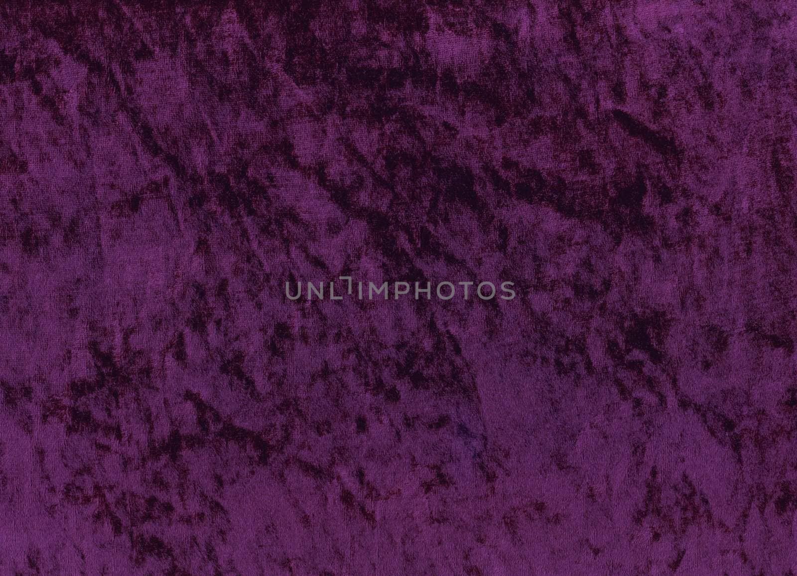 A sample of purple shimmery velours fabric - an exclusive and trendy background.