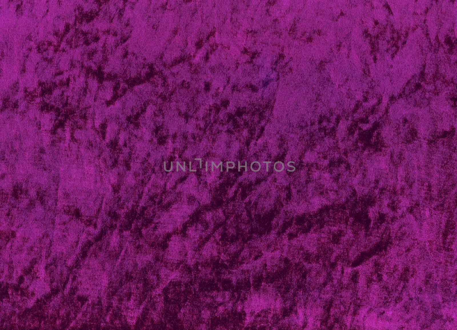 A sample of purple shimmery velours fabric - an exclusive and trendy background.