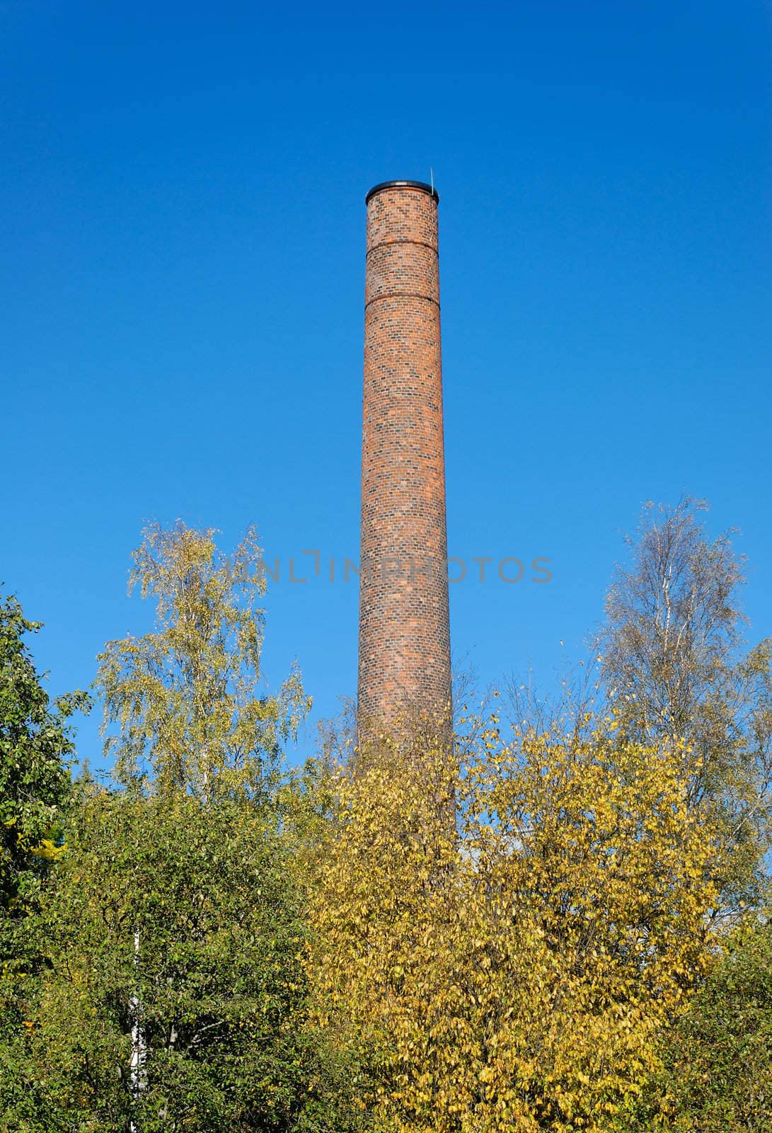Factory Chimney Behind Trees  by Nemo1024