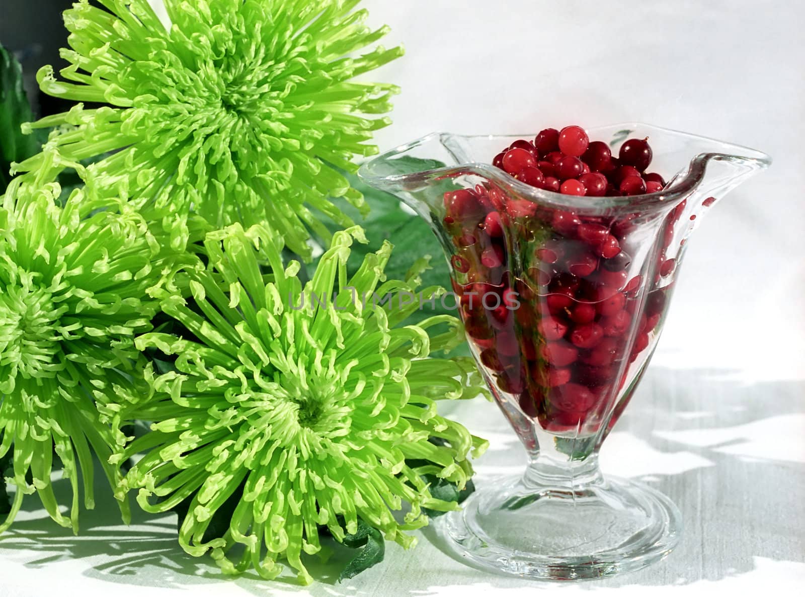 Red berry in glass and green chrysanthemums
