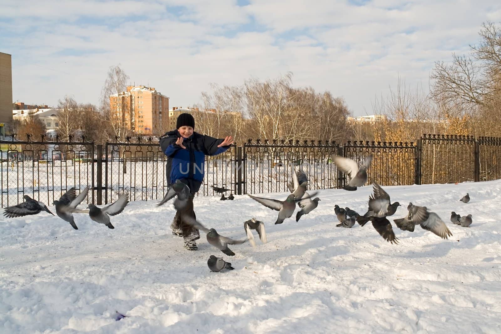 Little boy frightens birds by stepanov