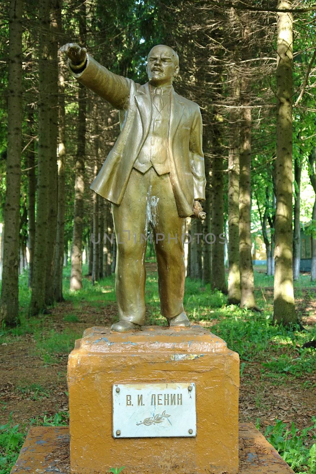 Monument to the leader of world revolution Lenin in the pine park.