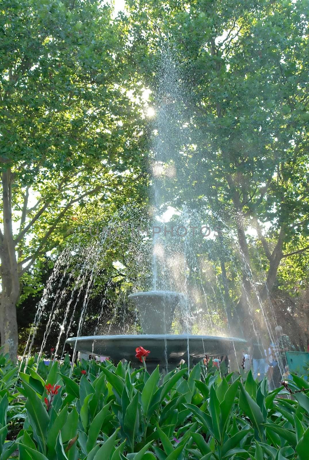 A small fountain in the summer park