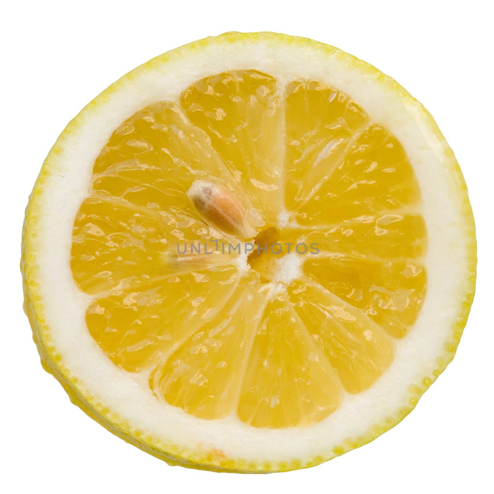 juicy yellow lemons against the white background