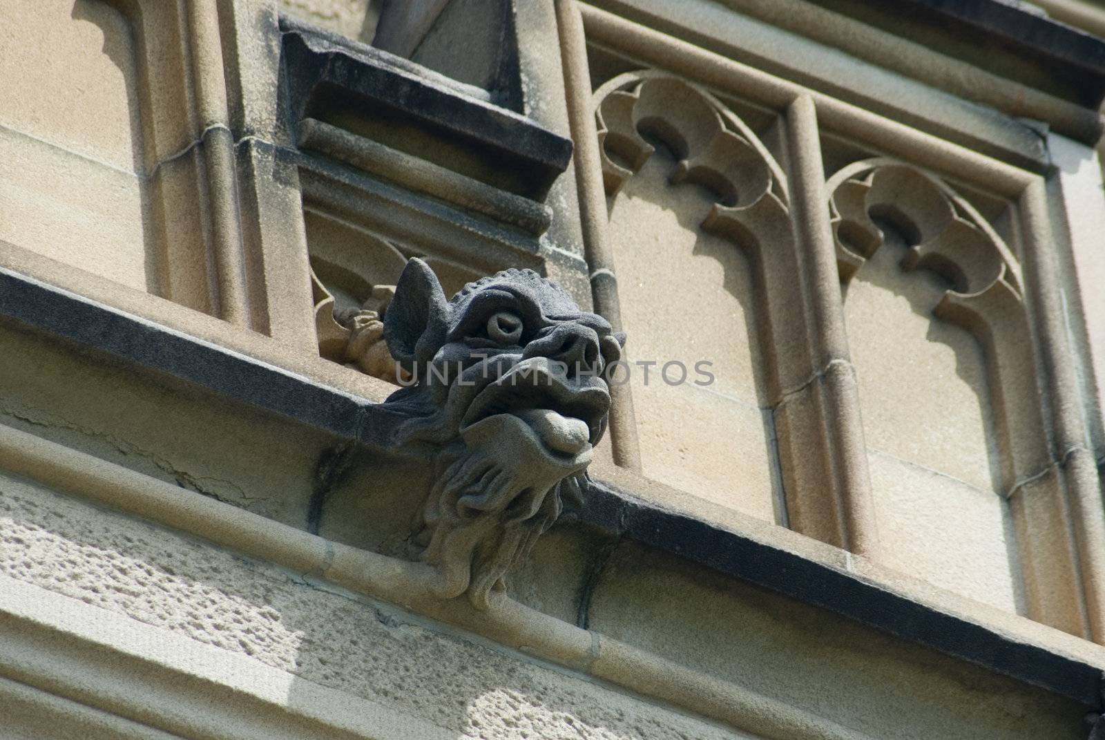 gargoyles stones on the side of the historic sydney university