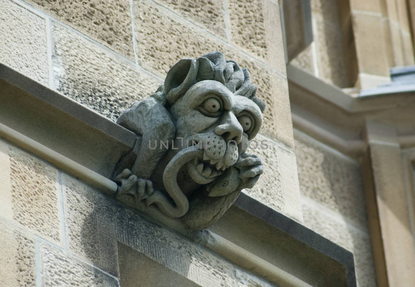 gargoyles stones on the side of the historic sydney university