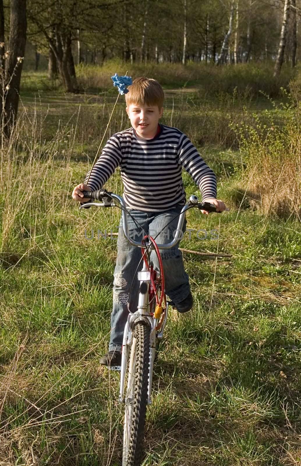 Small boy will go on the bicycle with green forest at background