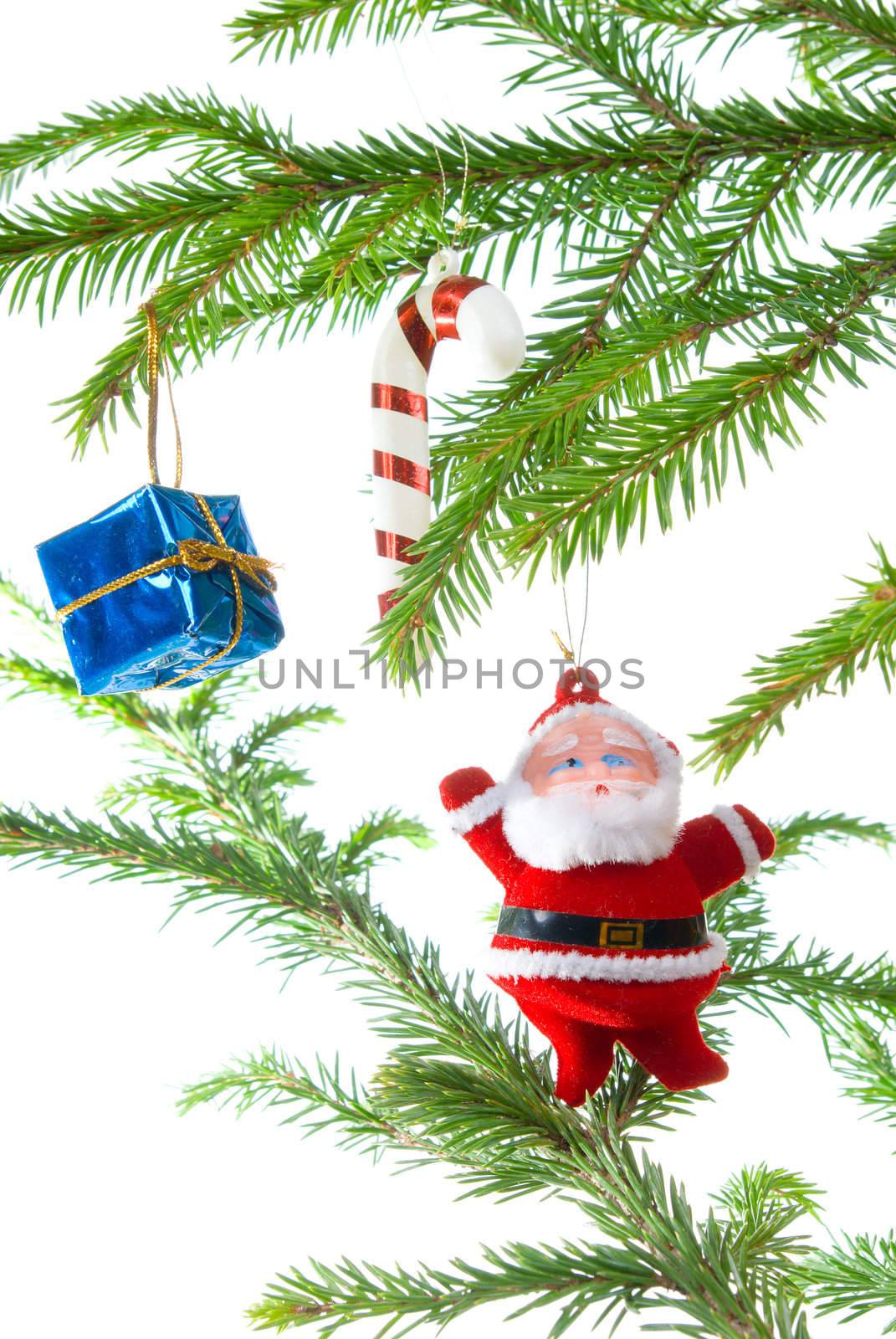 santa claus ,Christmas bauble  on background of the fur branches