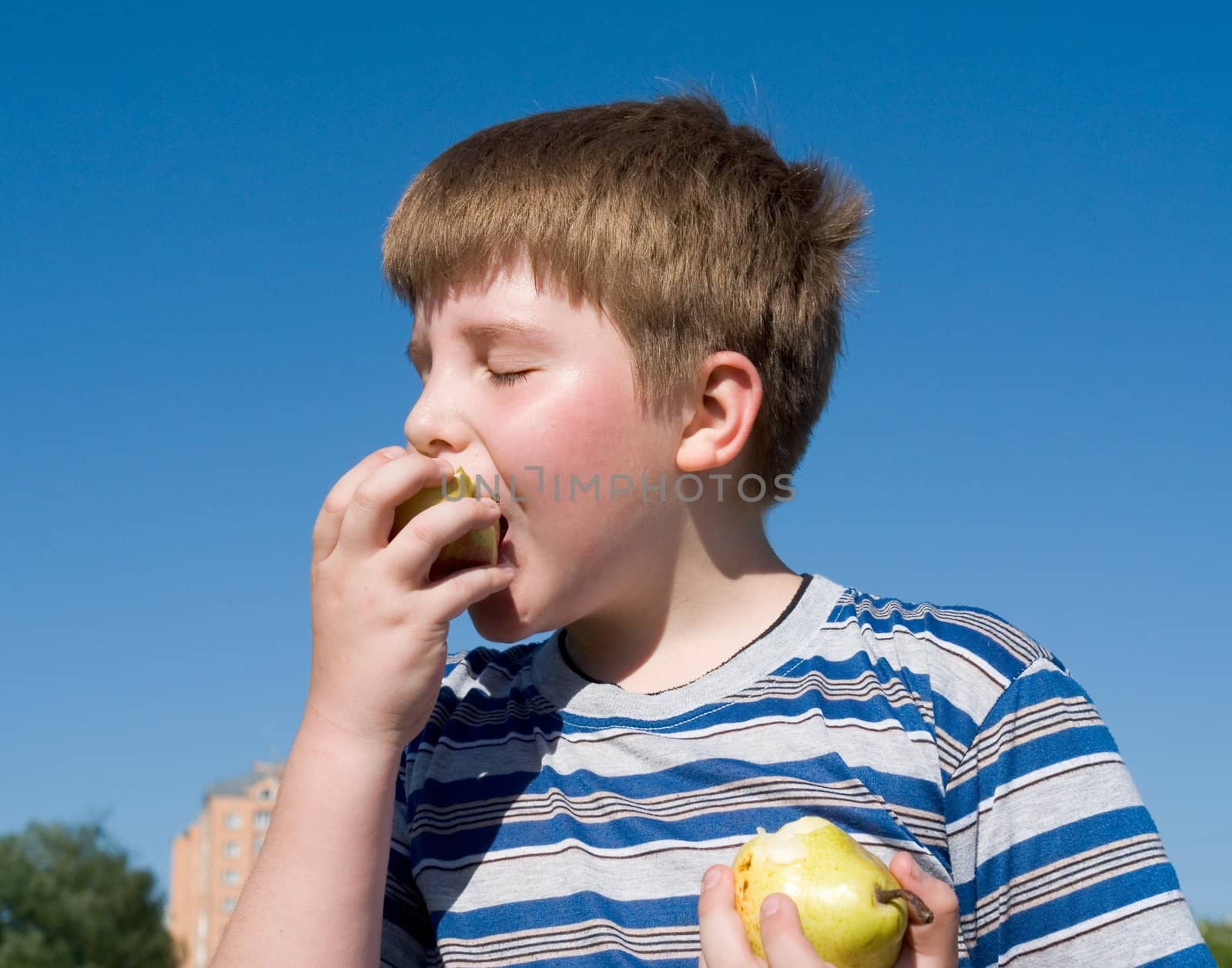 Boy eats apple by stepanov