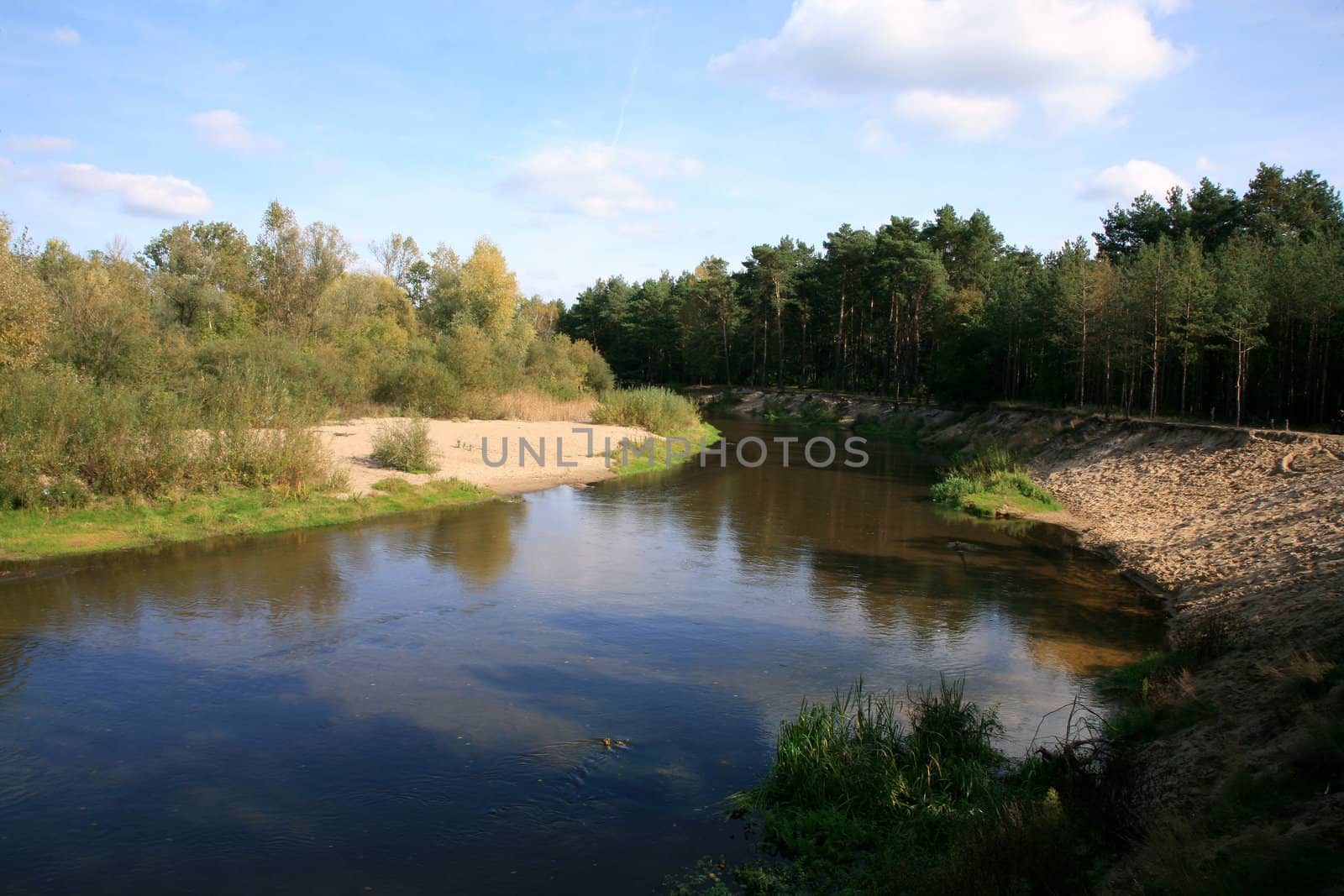 River in forest - Poland by fotokate