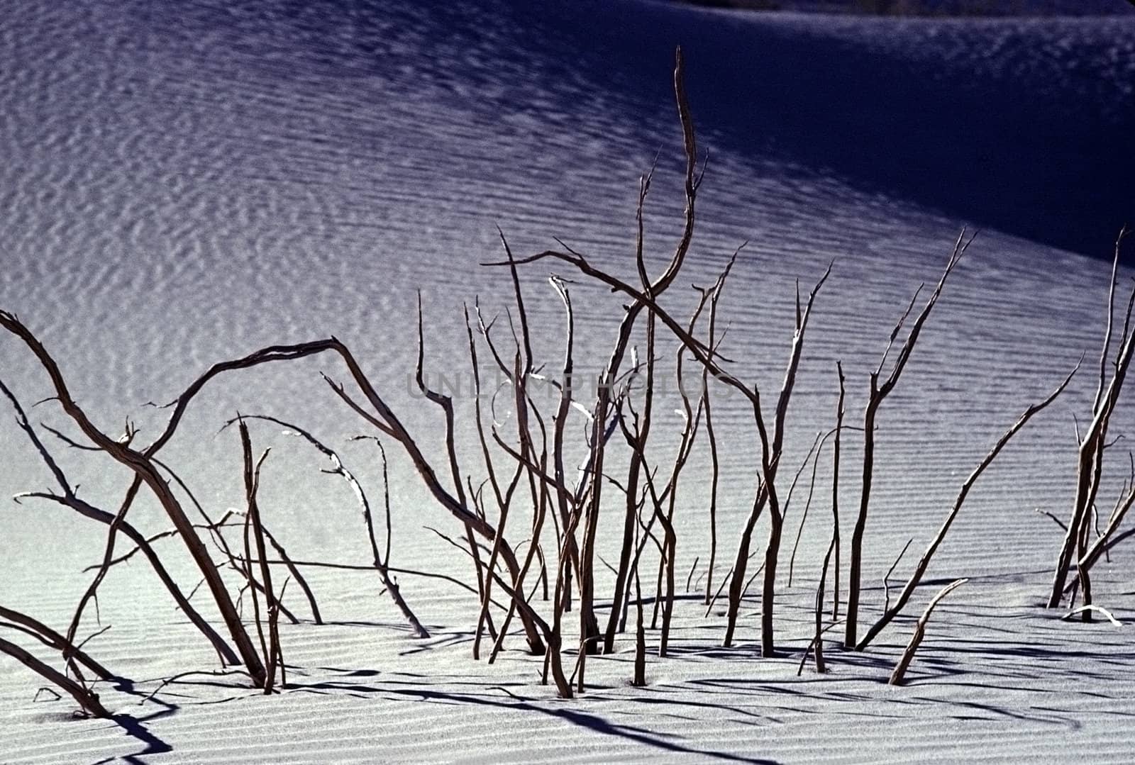 White Sands in New Mexico