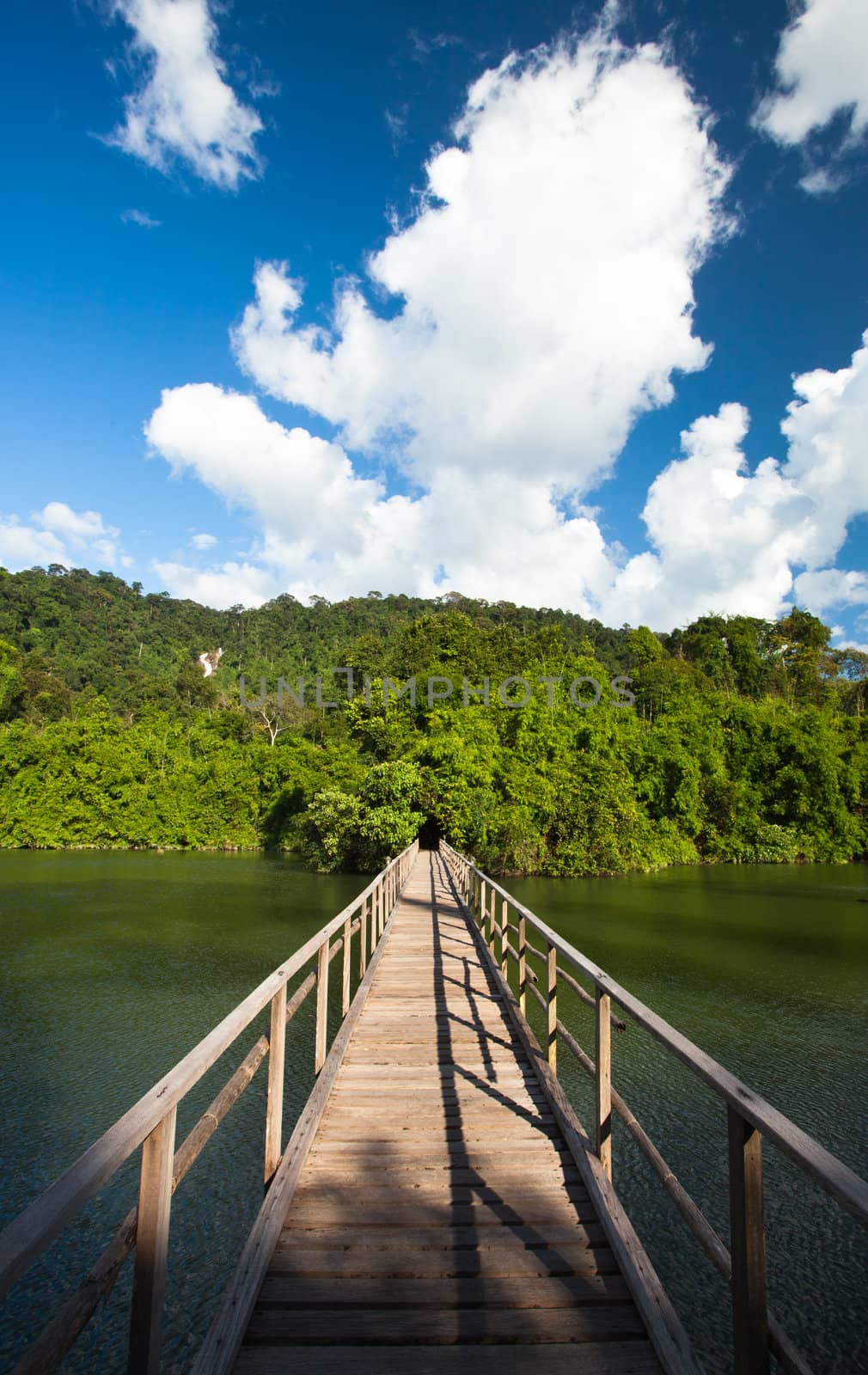 Bridge to the jungle, Chantaburi eastern of Thailand