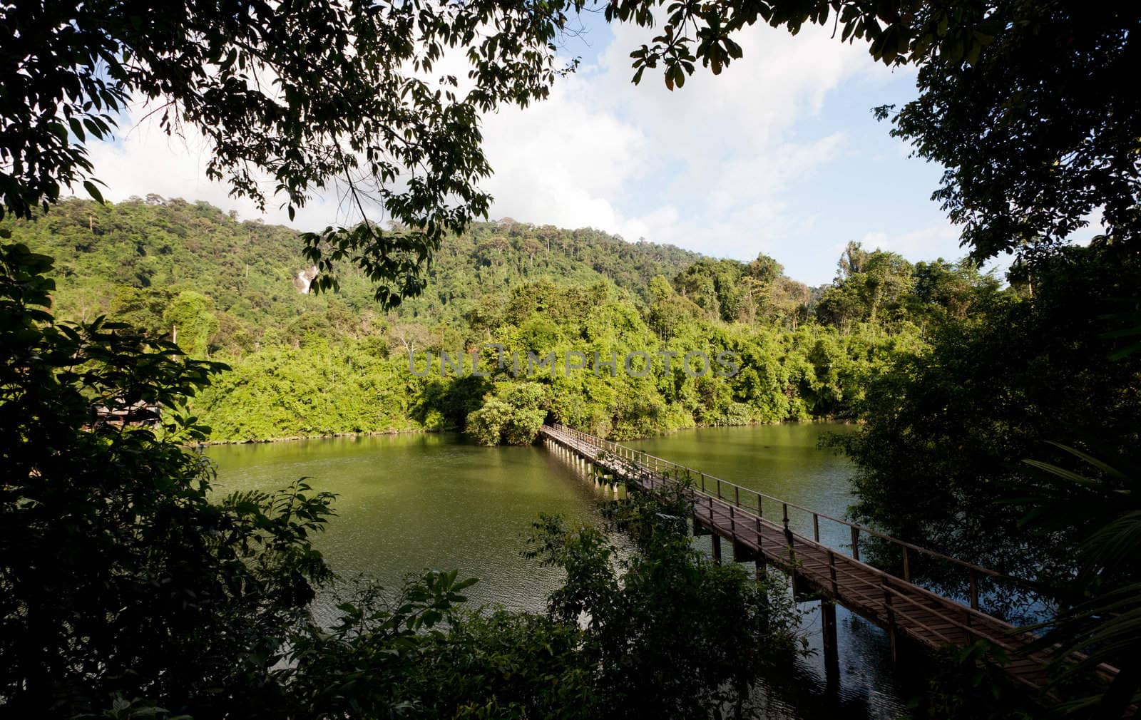 Bridge to the jungle, Chantaburi eastern of Thailand