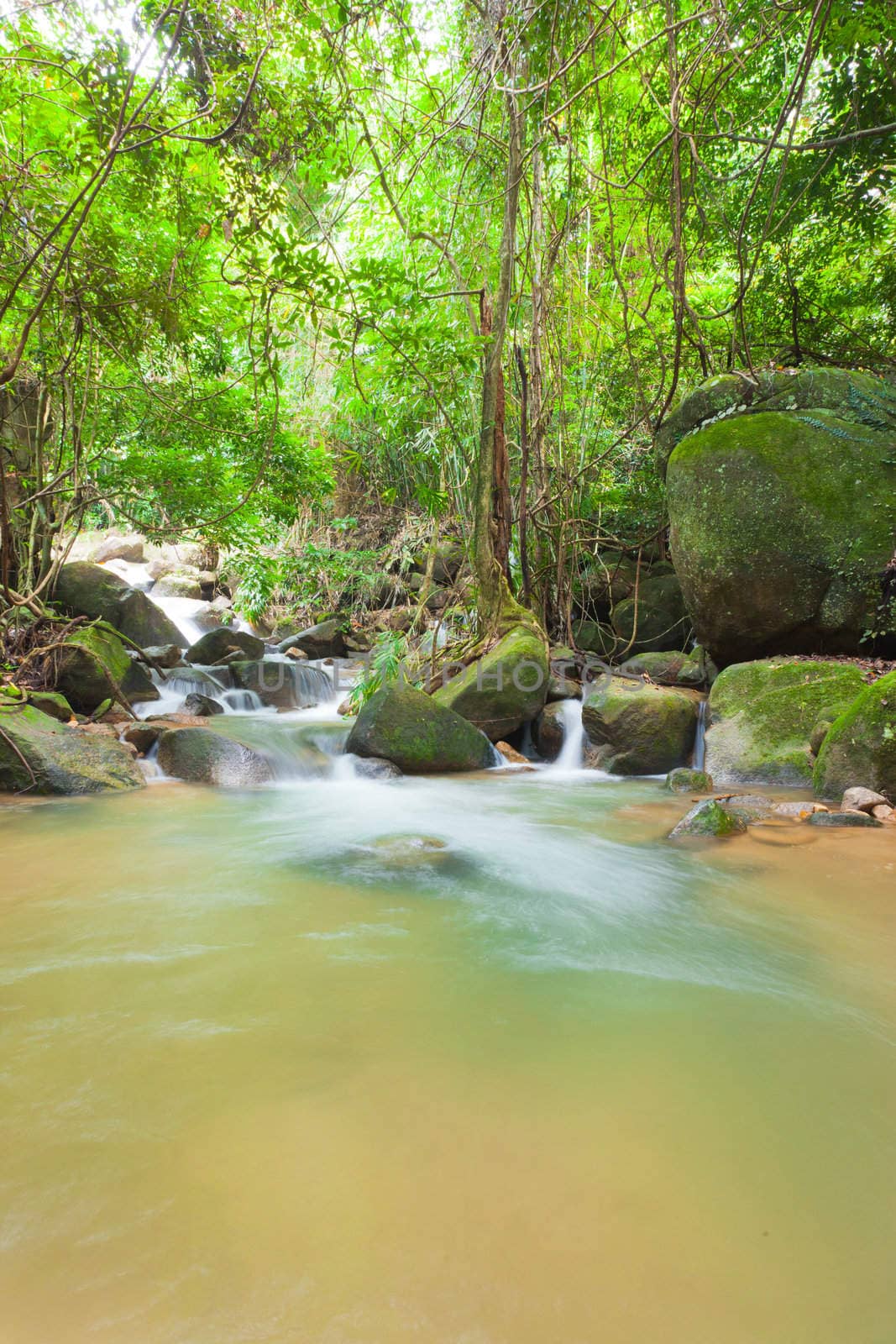 Deep forest Waterfall in Chantaburi, eastern of Thailand by Suriyaphoto