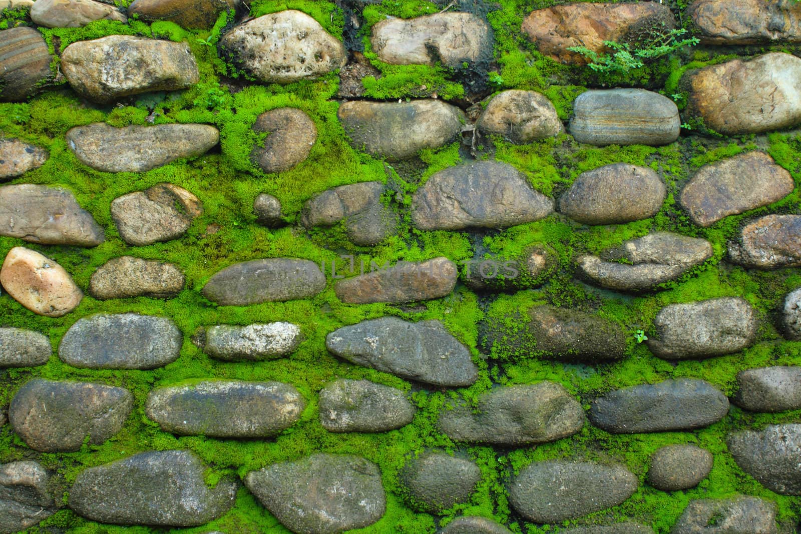 Texture of old stone wall