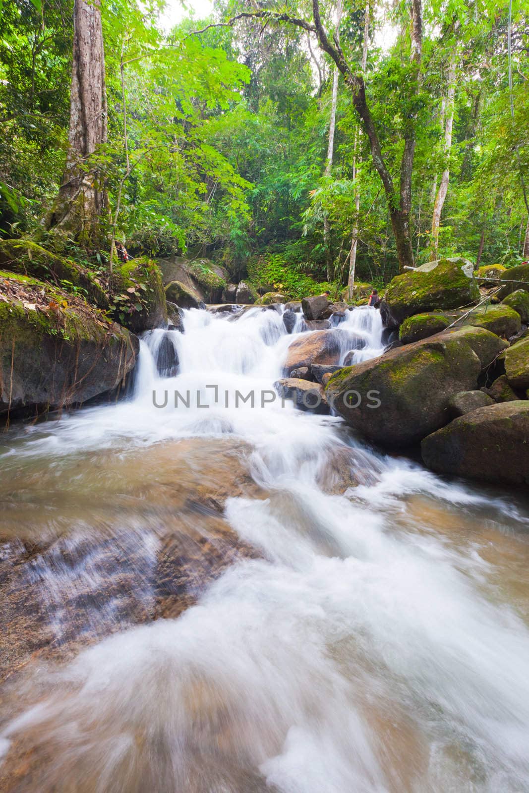 Deep forest Waterfall in Chantaburi, eastern of Thailand by Suriyaphoto