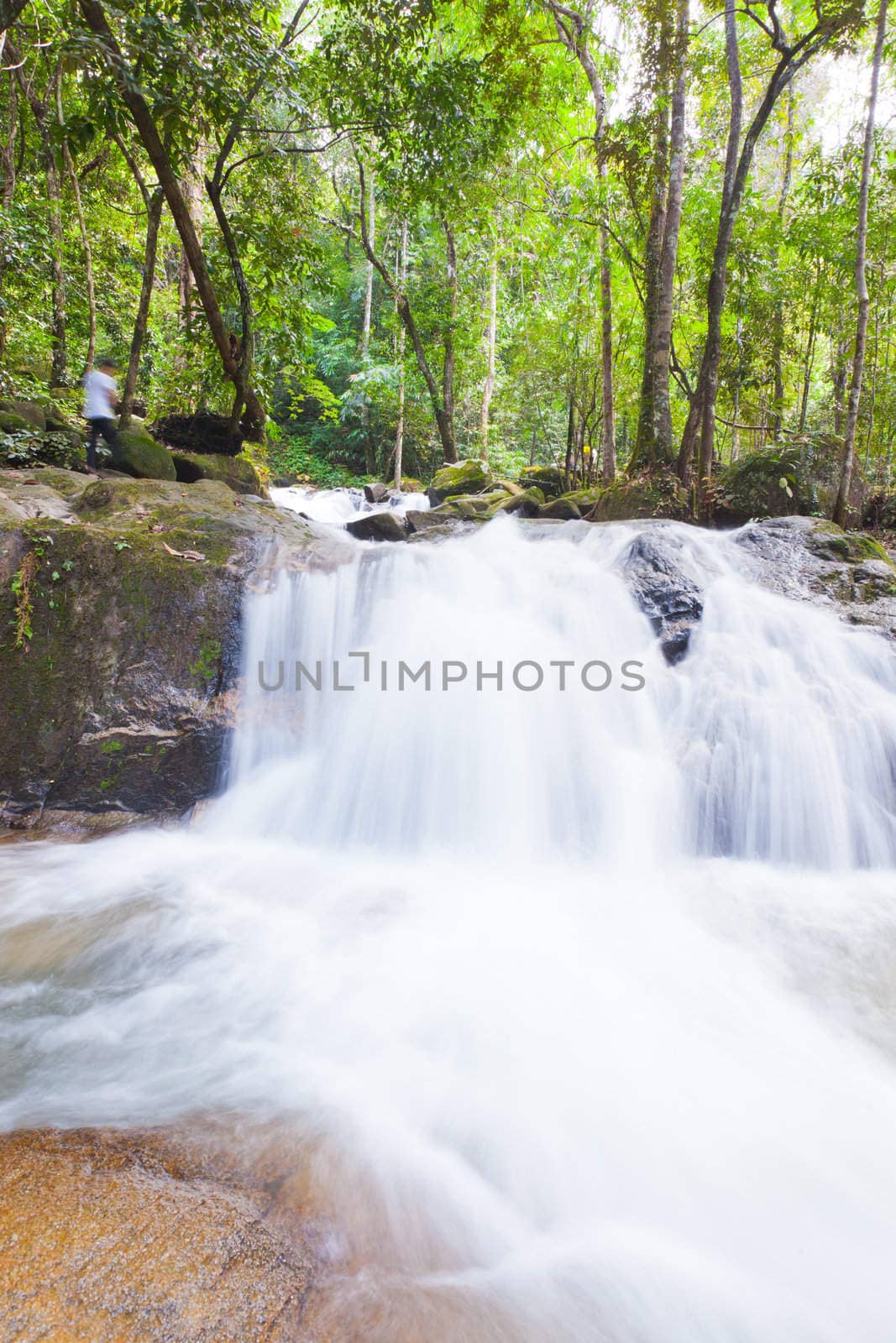 Deep forest Waterfall in Chantaburi, eastern of Thailand by Suriyaphoto