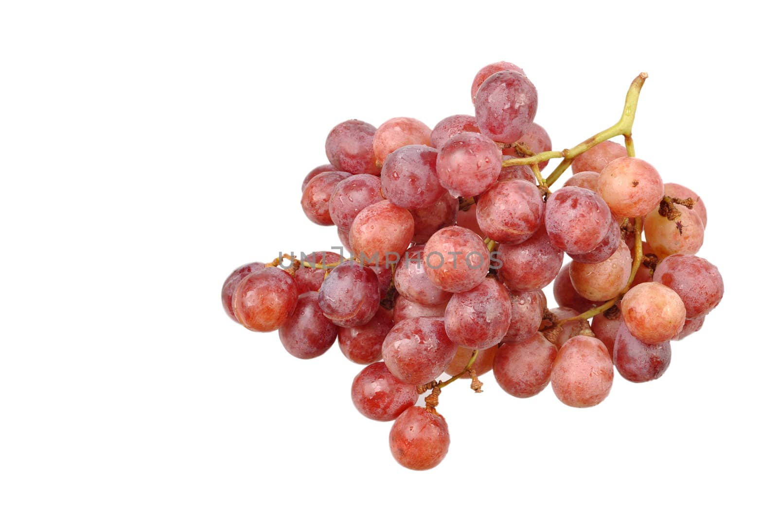 A grape is the non-climacteric fruit that grows on the perennial and deciduous woody vines of the genus Vitis.