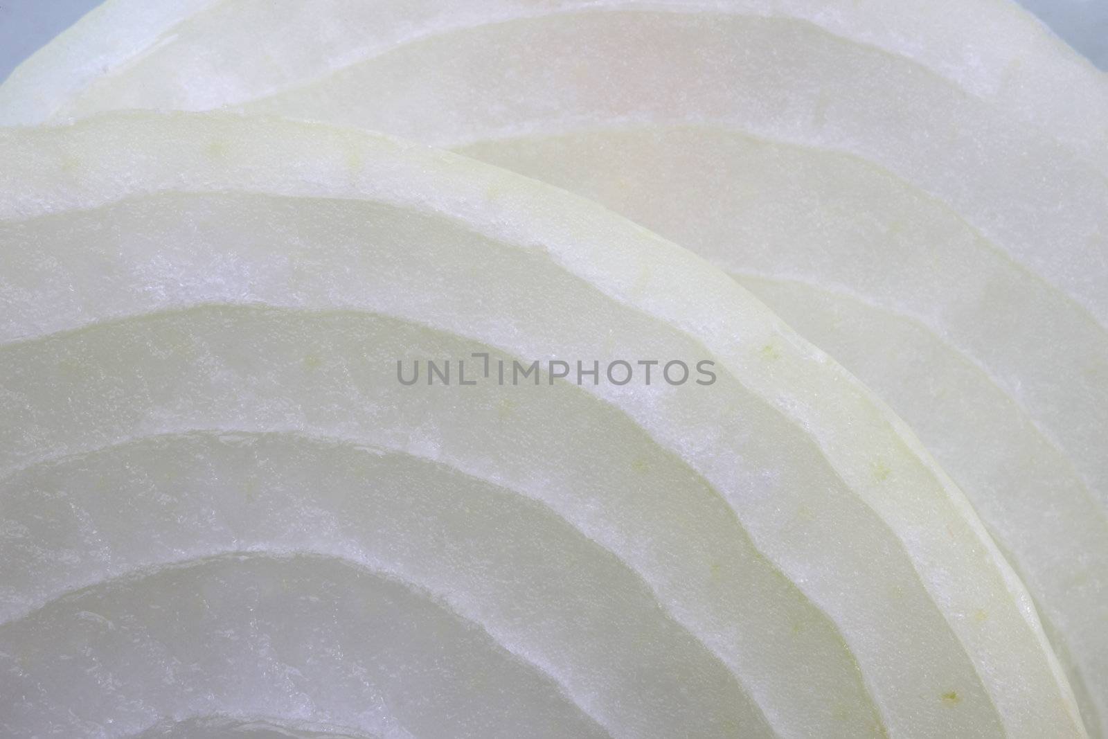 Sliced fresh onion