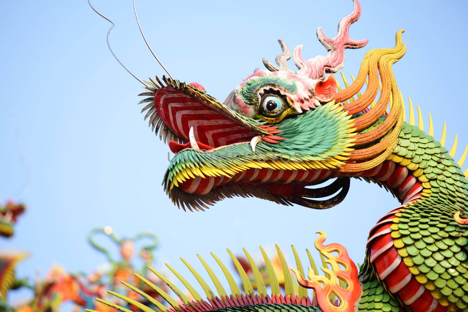 Asian temple dragon