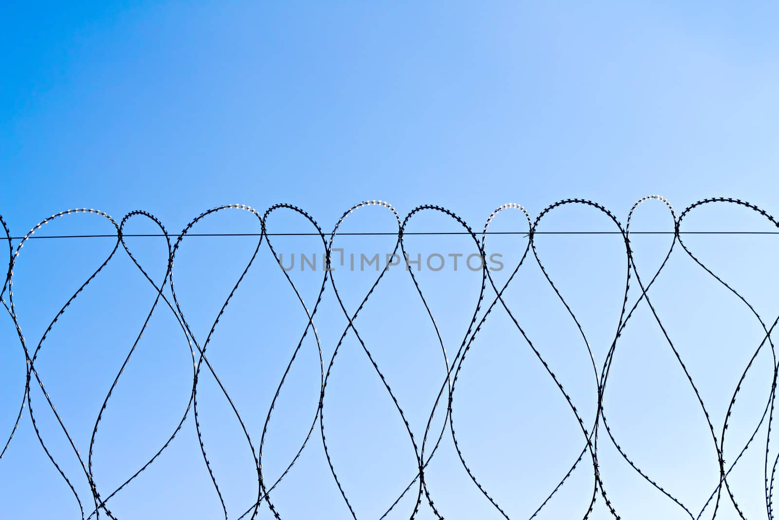 spirals of barbed wire against the sky