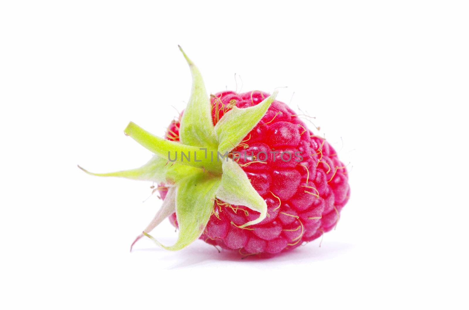 fresh raspberry closeup isolated on white background