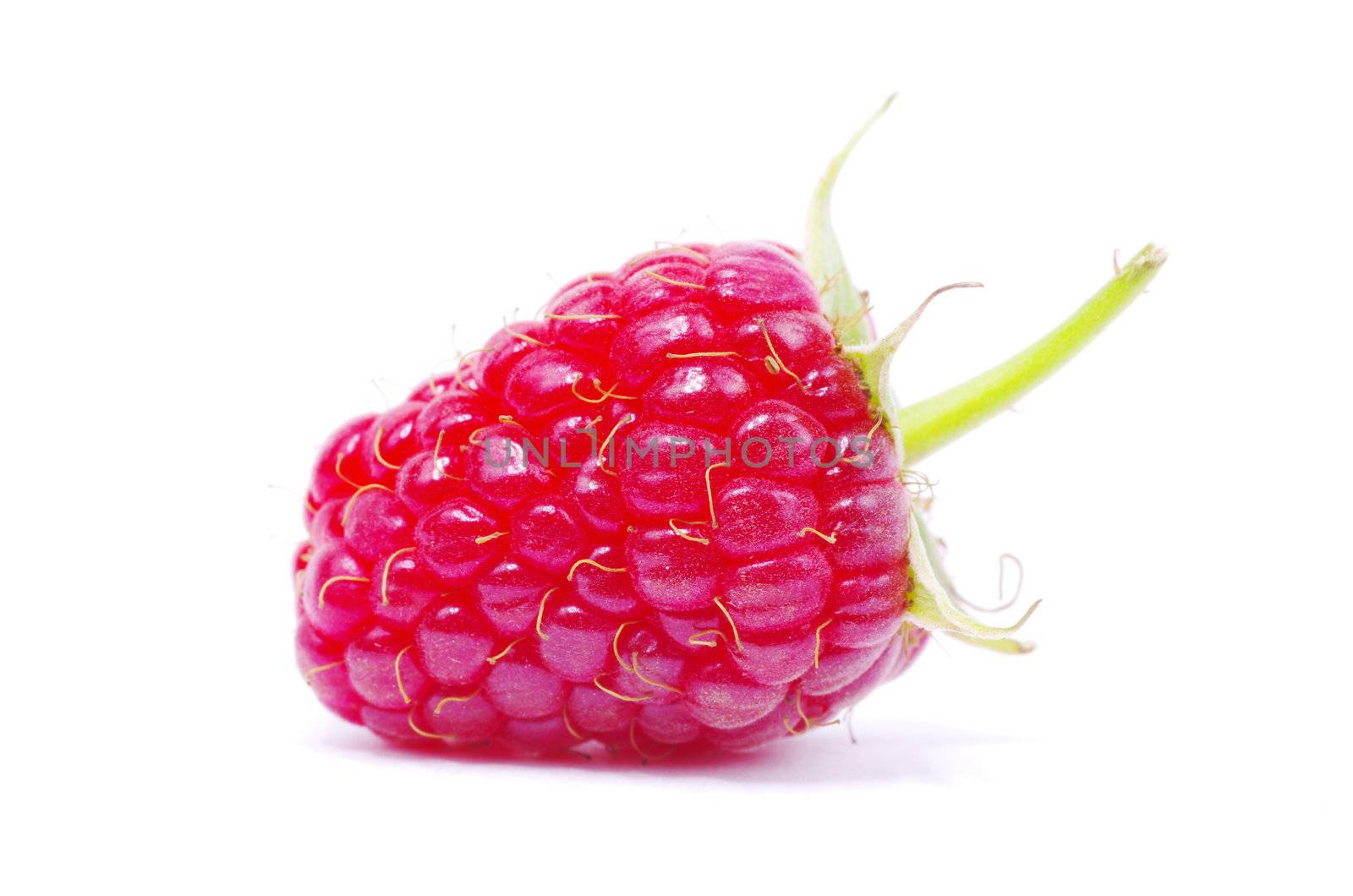 fresh raspberry closeup isolated on white background