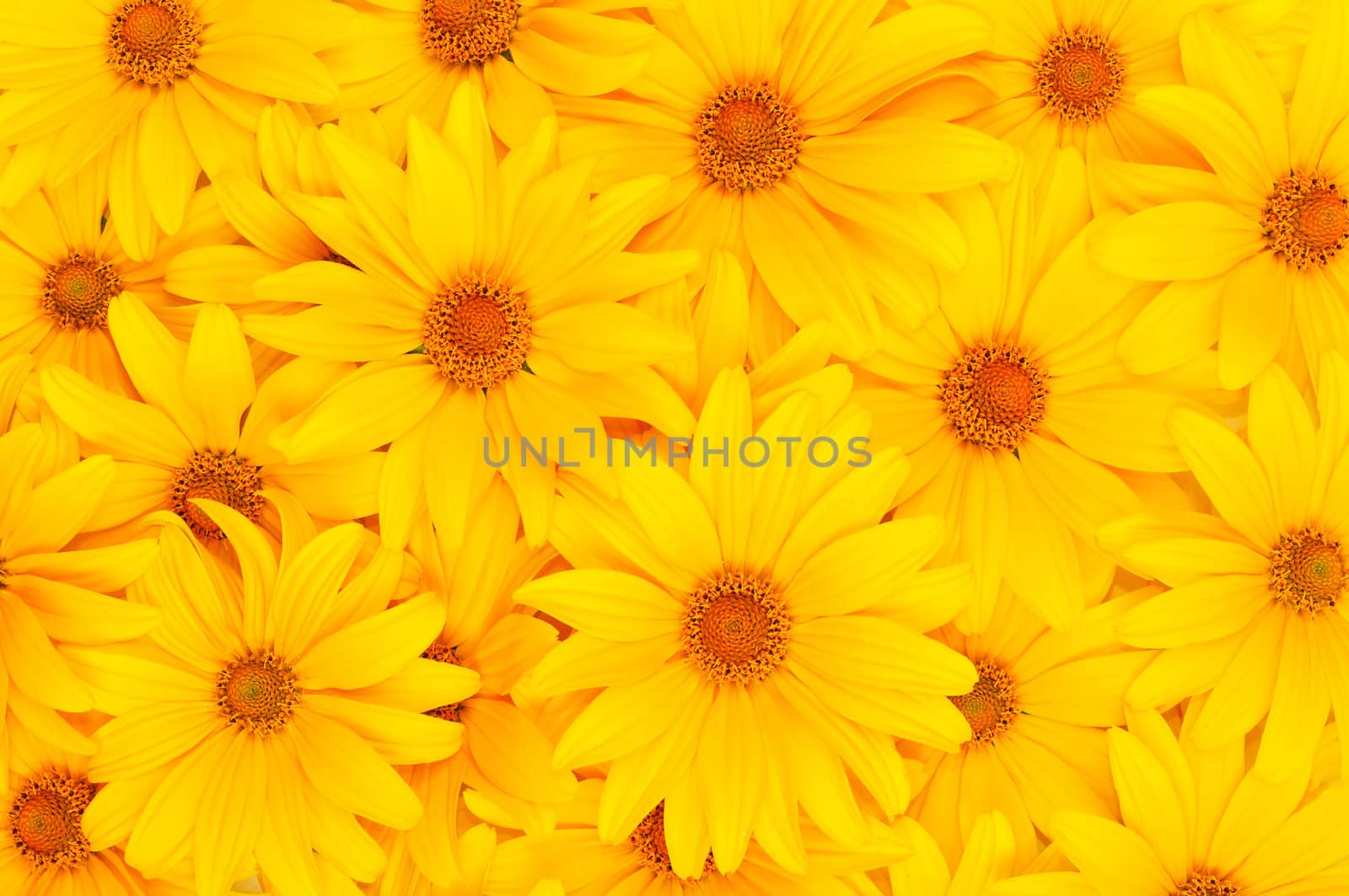 Floral yellow background by Draw05