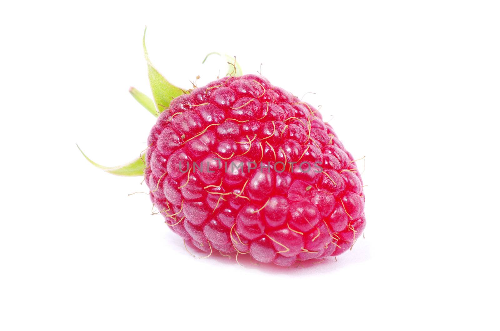 raspberry  by Pakhnyushchyy