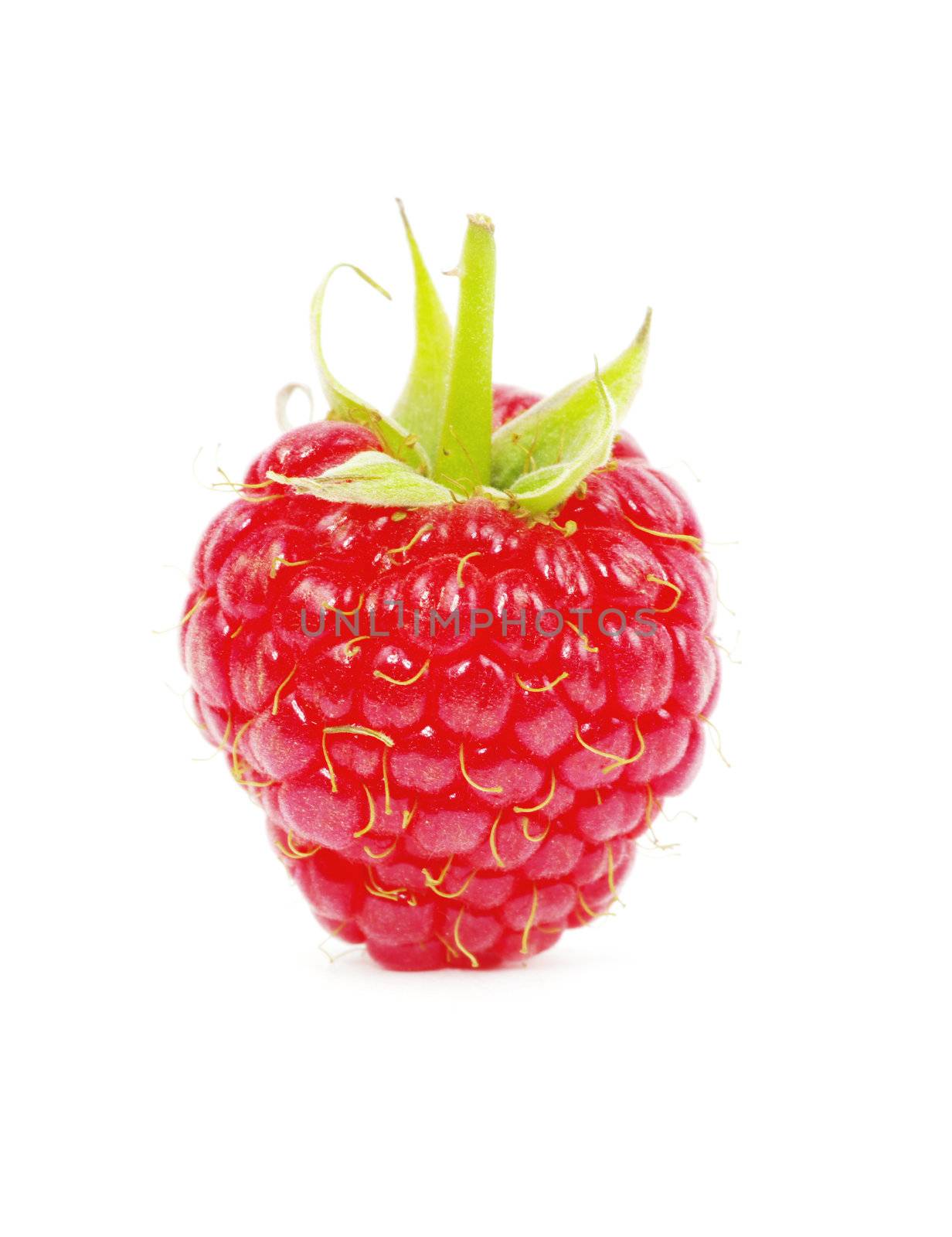 Ripe raspberry isolated on a white background